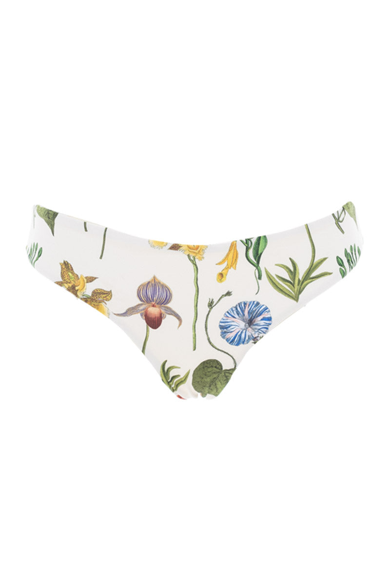 Panty Silueta Básica French