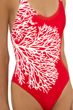 Entero Con Control de abdomen Bicolor Koralina