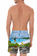 Pantaloneta Hombre Birds