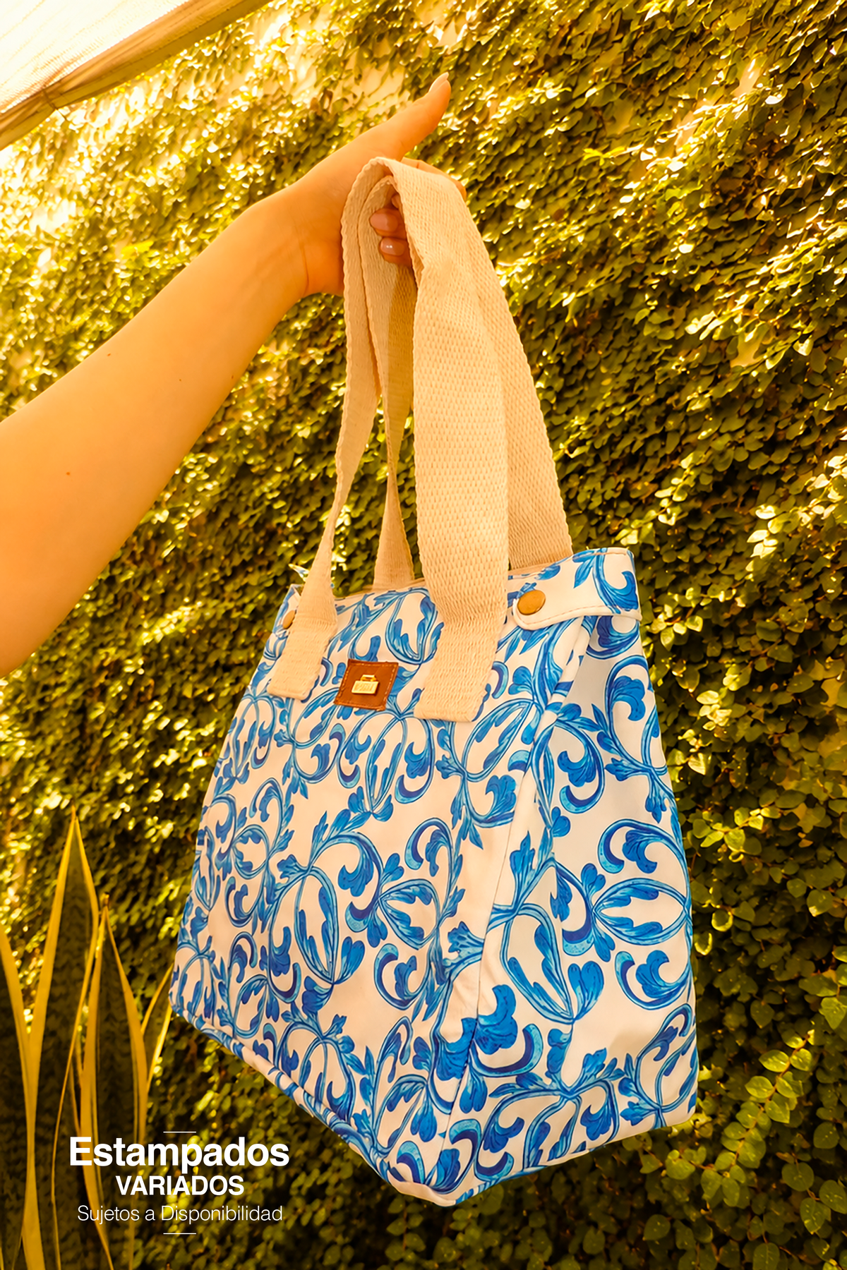 OASIS thermal lunch box
