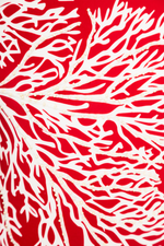 Entero Con Control de abdomen Bicolor Koralina