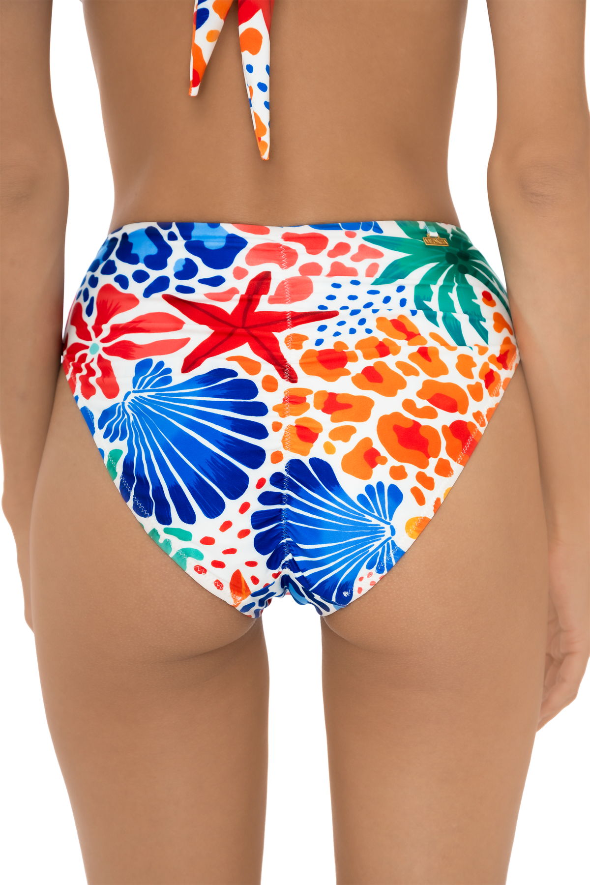 Seashells High Waist Bottom